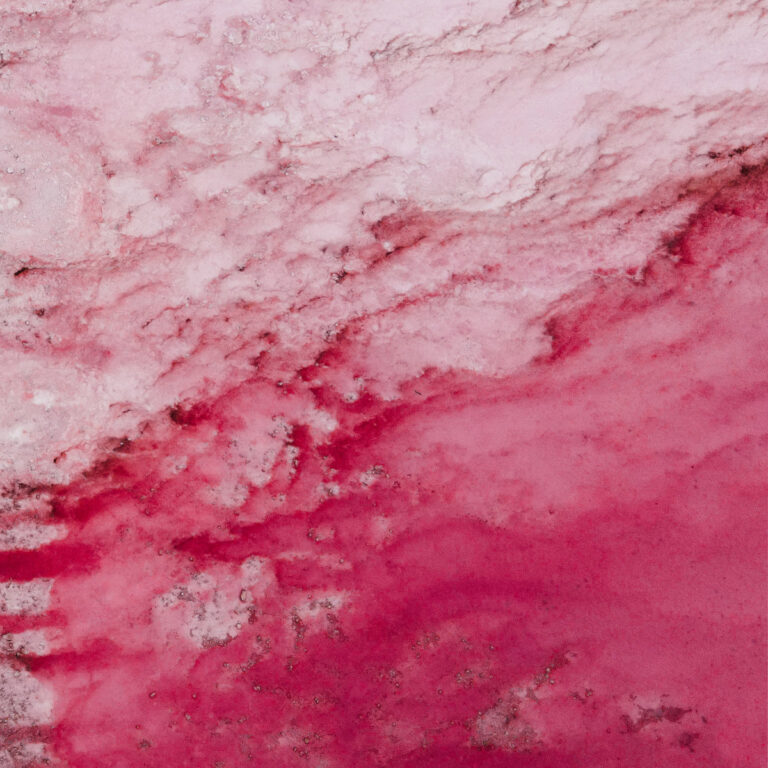 pruski private language