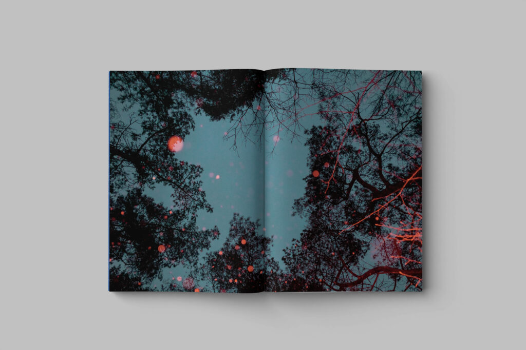 pawel pruski drifting stones project